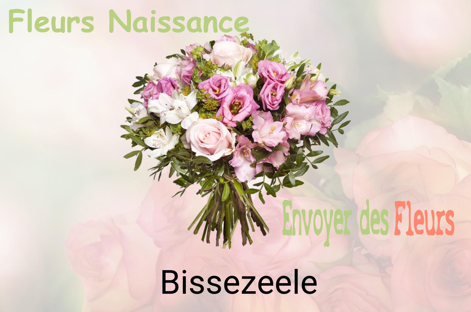 Bouquet de fleurs de naissance livré à Bissezeele